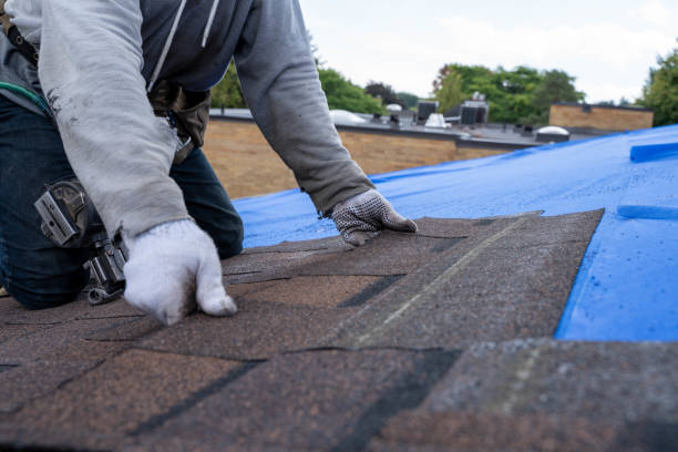 Best Storm Damage Roof Repair  in Hastings, MI